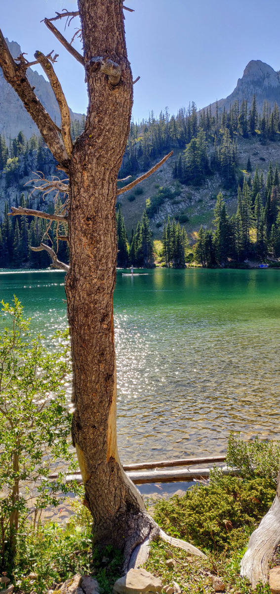 Photos Yellowstone Real Estate Group