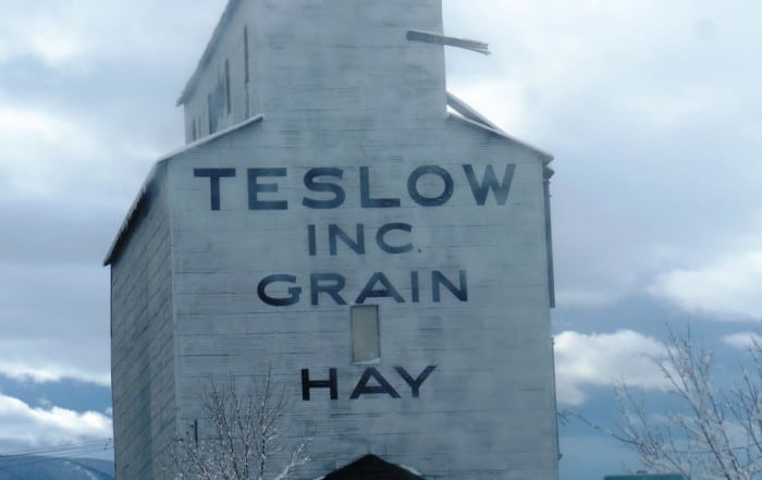 Teslow group raises more than 60k to save Livingston landmark